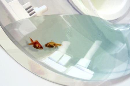 A Revolving Fish Tank 